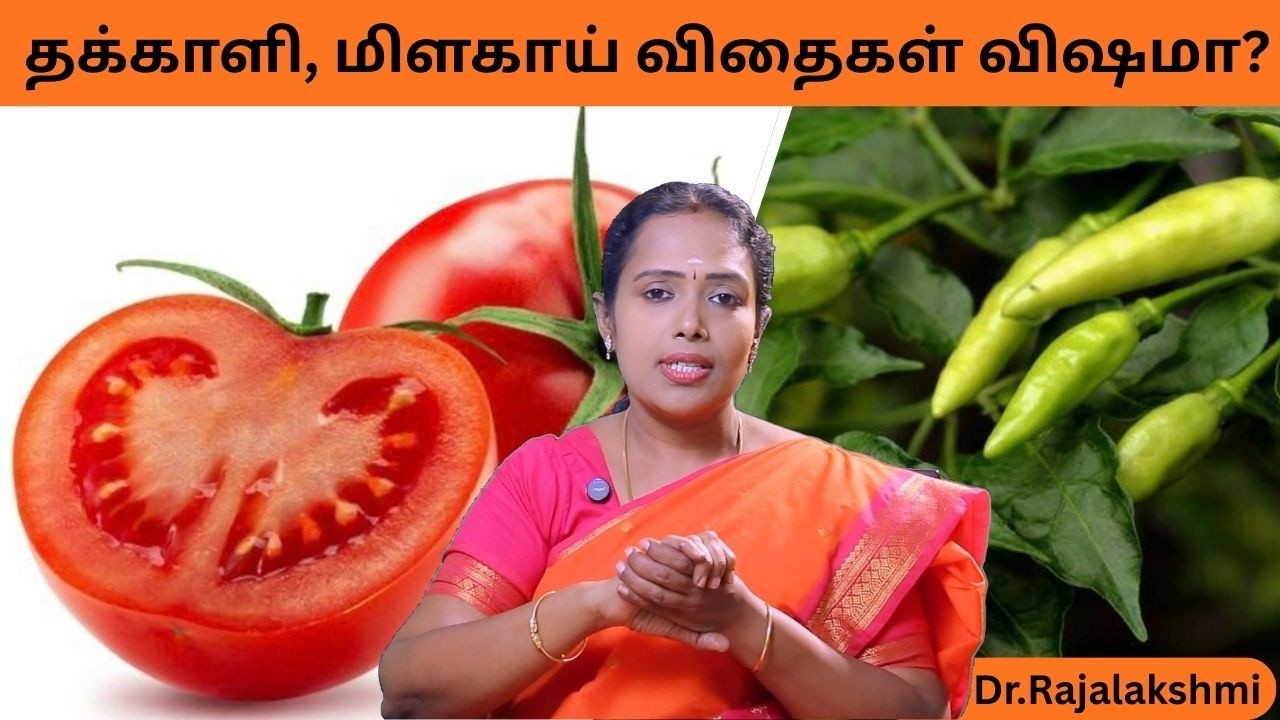 இந்த பிரச்சனை இருக்கவங்க தக்காளி விதையை உணவில் சேர்த்துக்கொள்ள கூடாதாம்..! | Dr.Rajalakshmi |TCH