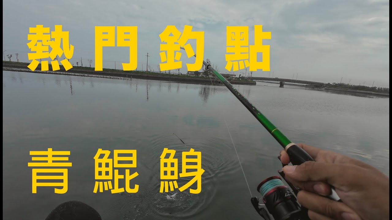 台南超熱門釣點 青鯤鯓 初體驗 大雨後釣況如何？