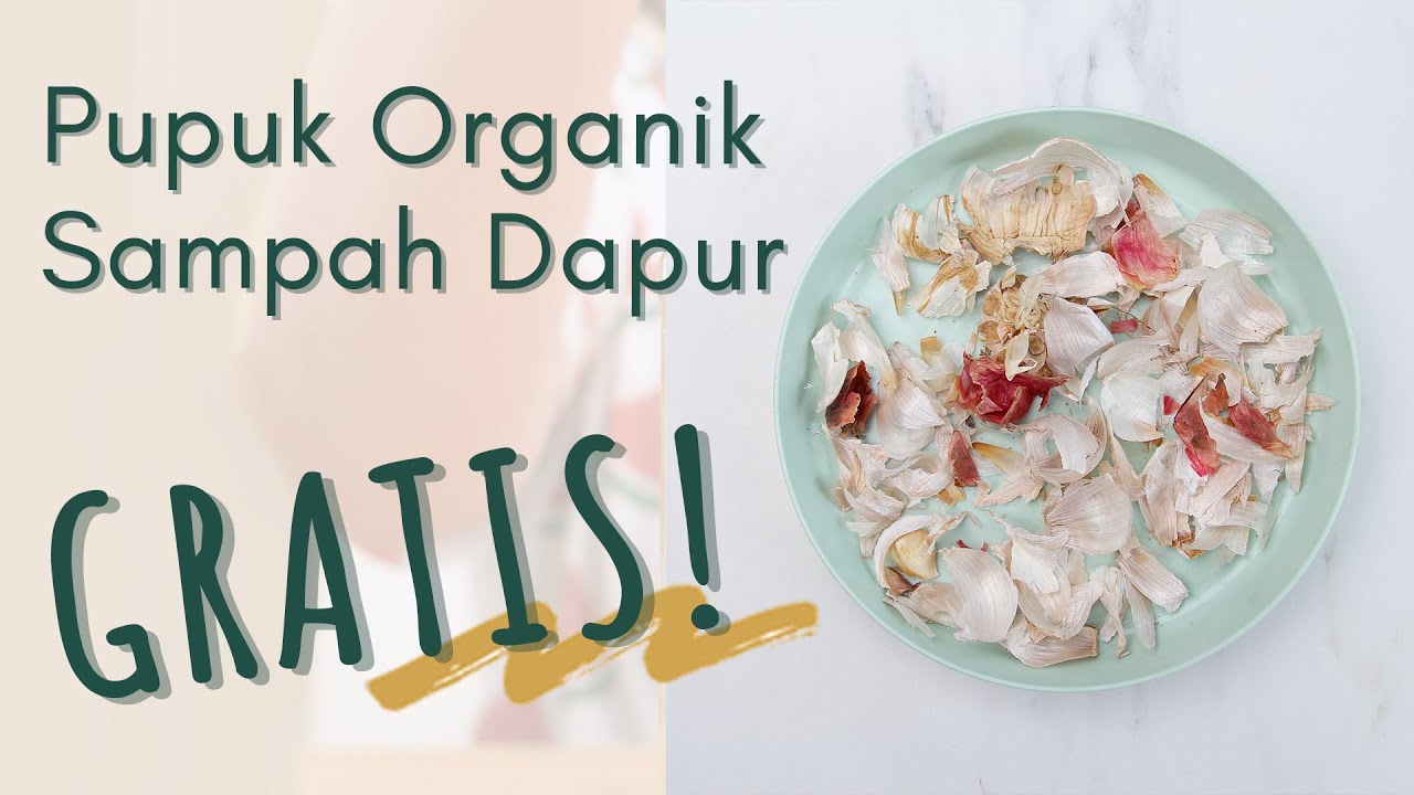 DIY - 3 Cara Membuat Pupuk Organik dari Sampah Dapur dengan Mudah | Sustaination