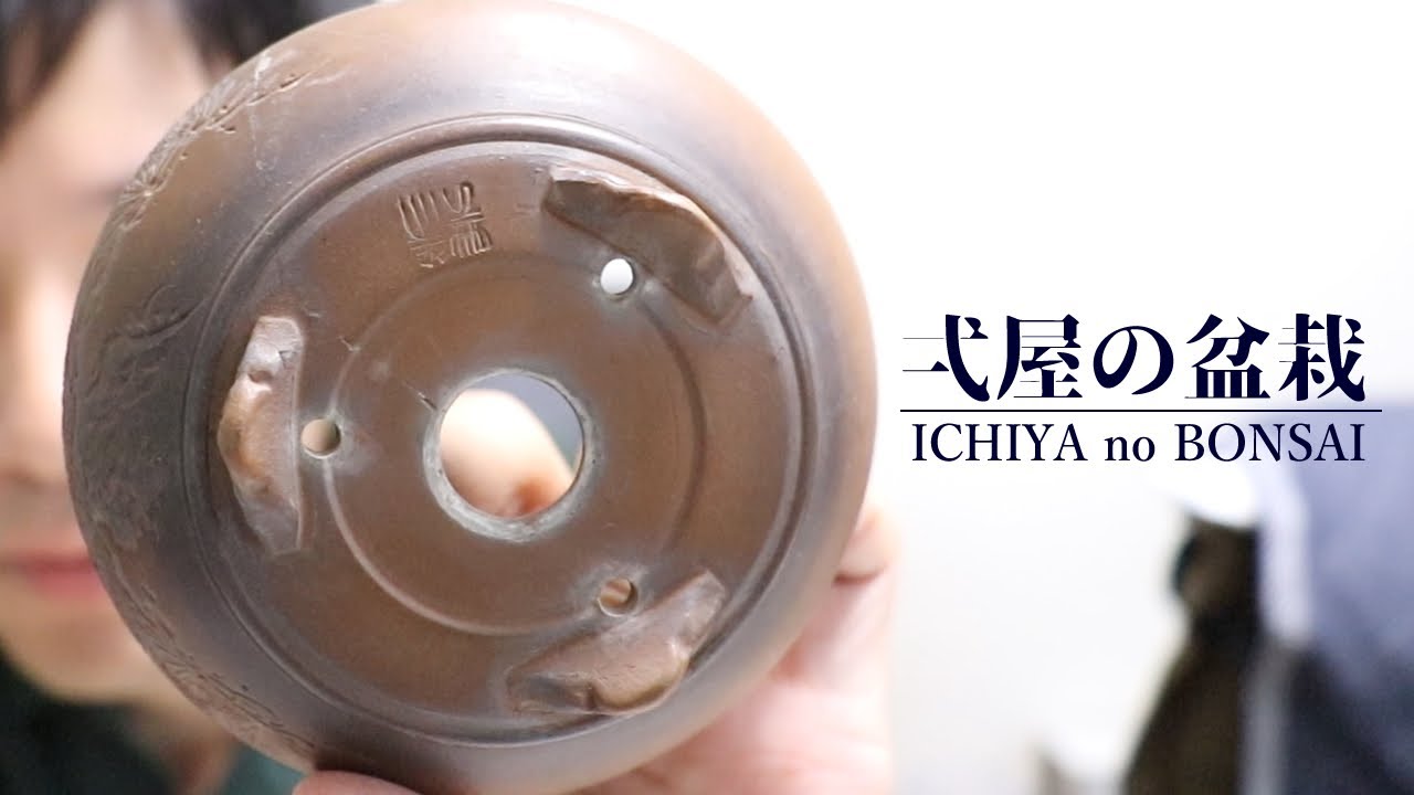 盆栽鉢をオンライン競り市で入手しましたよ