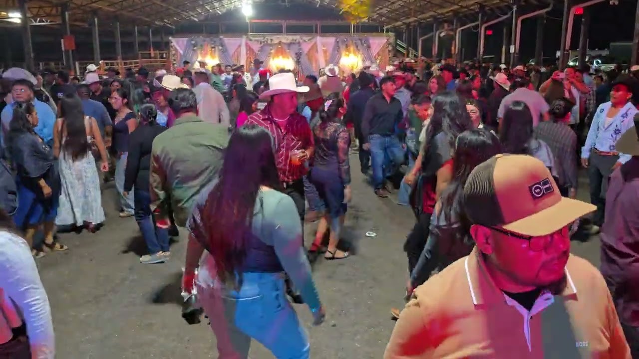 La última  y nos bamos grupo Costumbre  de tierra  🌎  mixteca 