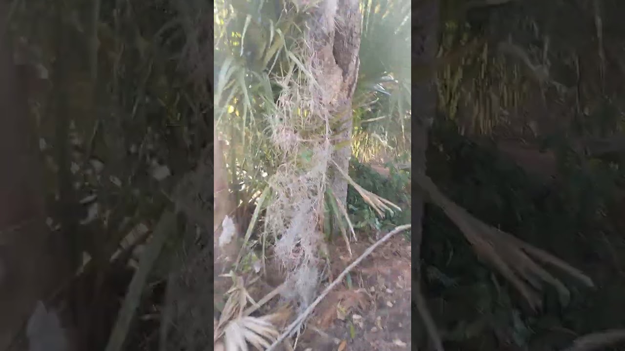Had a blast at Tomoka State Park