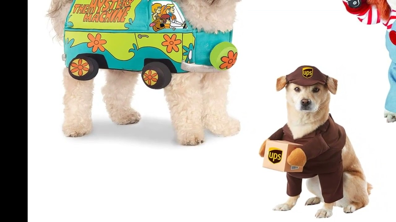 Best Halloween Pet Costumes