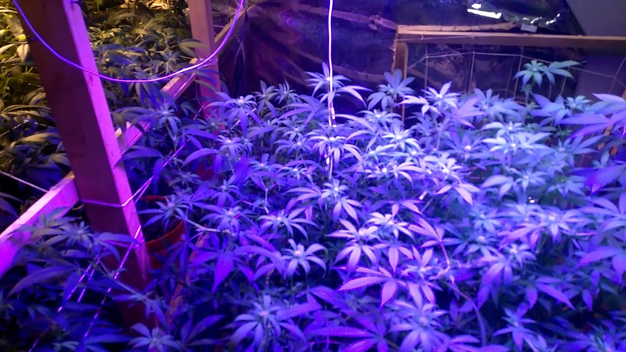 What happens when your pH is off and how to fix it