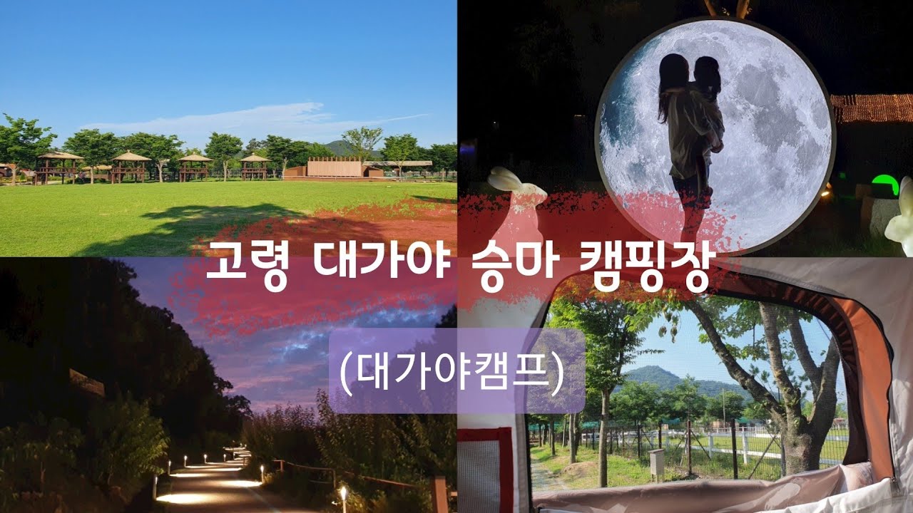 고령대가야승마캠핑장(대가야캠프)🏕 / 사이트소개 / 반짝이네캠핑TV