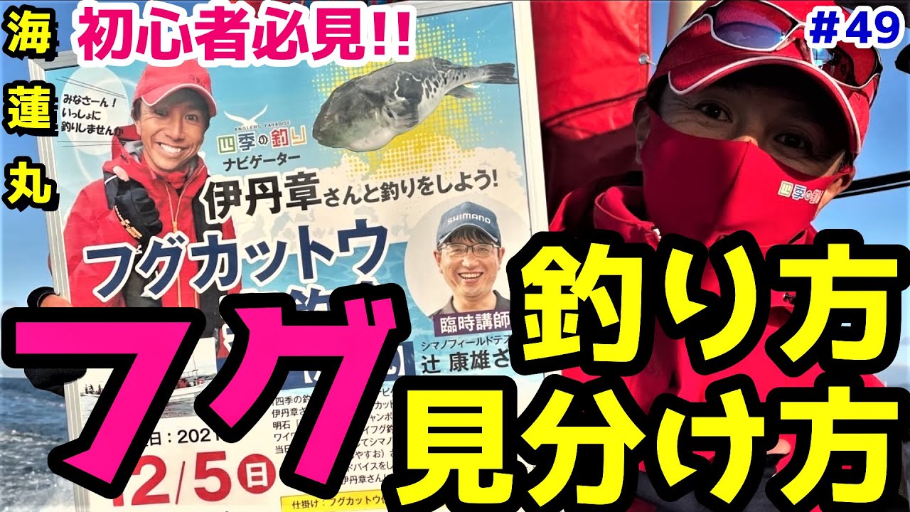【超入門編】【はじめてのフグ釣り】【見分け方】【カットウ釣り】【ショウサイフグ】【FMAX】【海蓮丸】#49