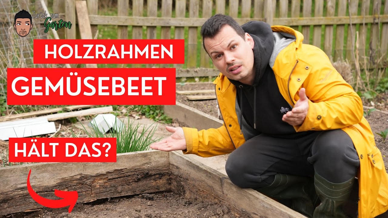 Holzrahmen für Gemüsebeete -  😱Wie lange hält sowas?