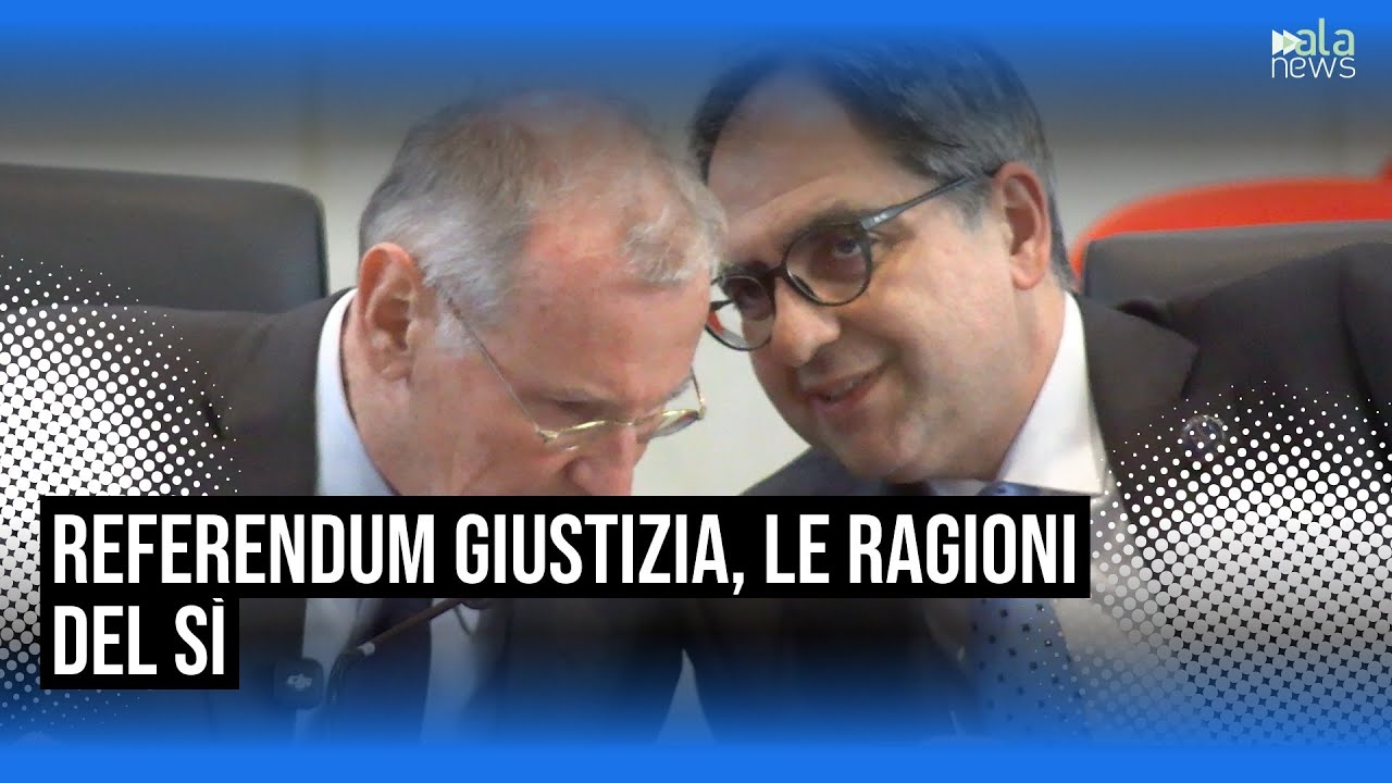 Referendum giustizia, Zanon: 