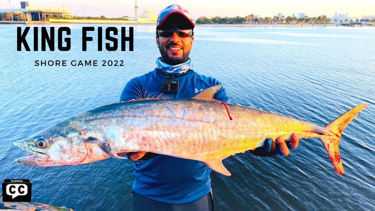 Landed A Good Size King Fish from Ajman on Megabass Kanata Lure | Shore Fishing | Kerala Fishing