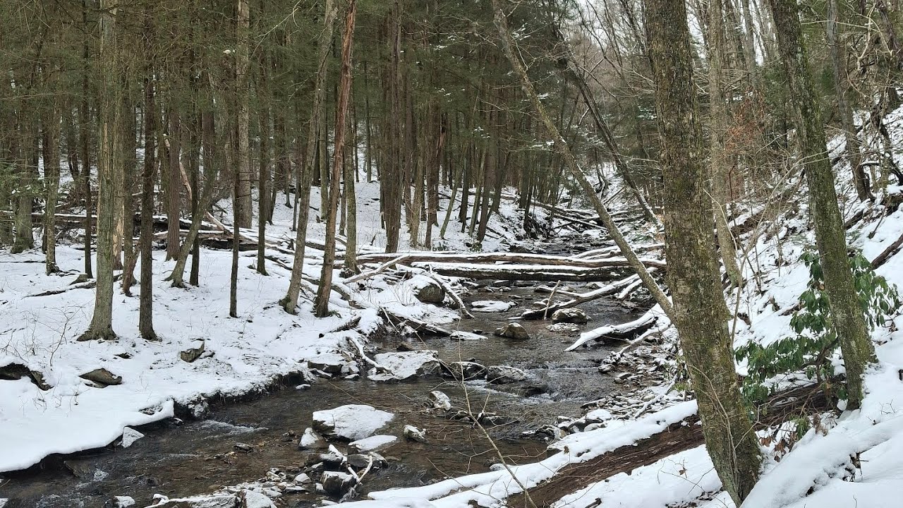 Late February day hike 2026 #hiking #nature #forest #winter #outdoors #snow 