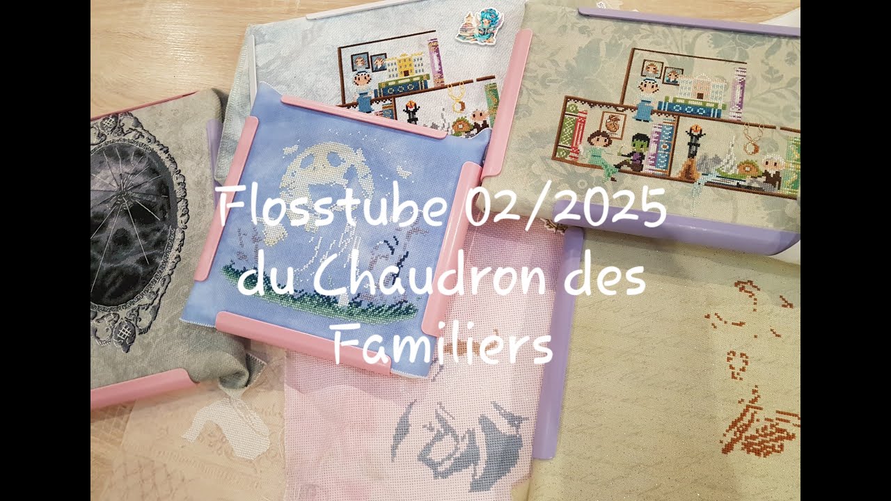 Flosstube n°3 du Chaudron des familiers - février 2025