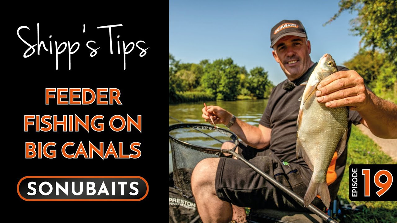 SHIPP'S TIPS - Episode 19 - Big Canal Feeder Fishing