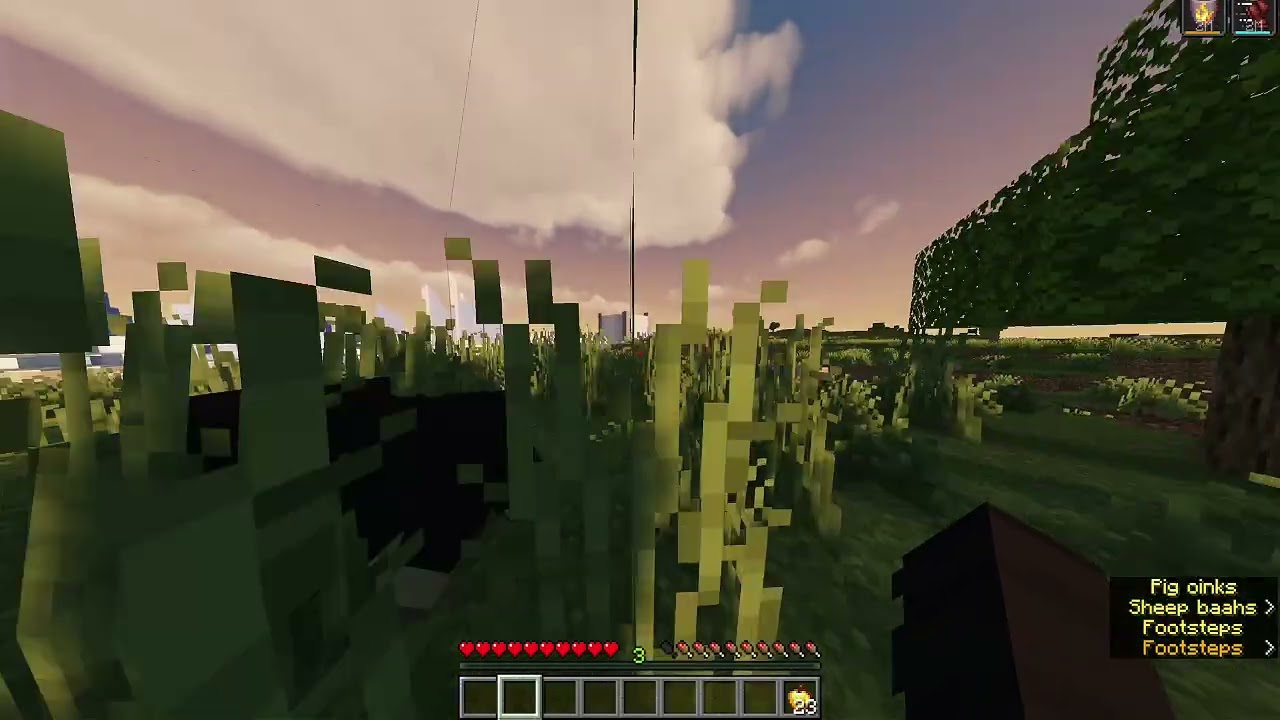 I got imprisioned on the bad lands smp