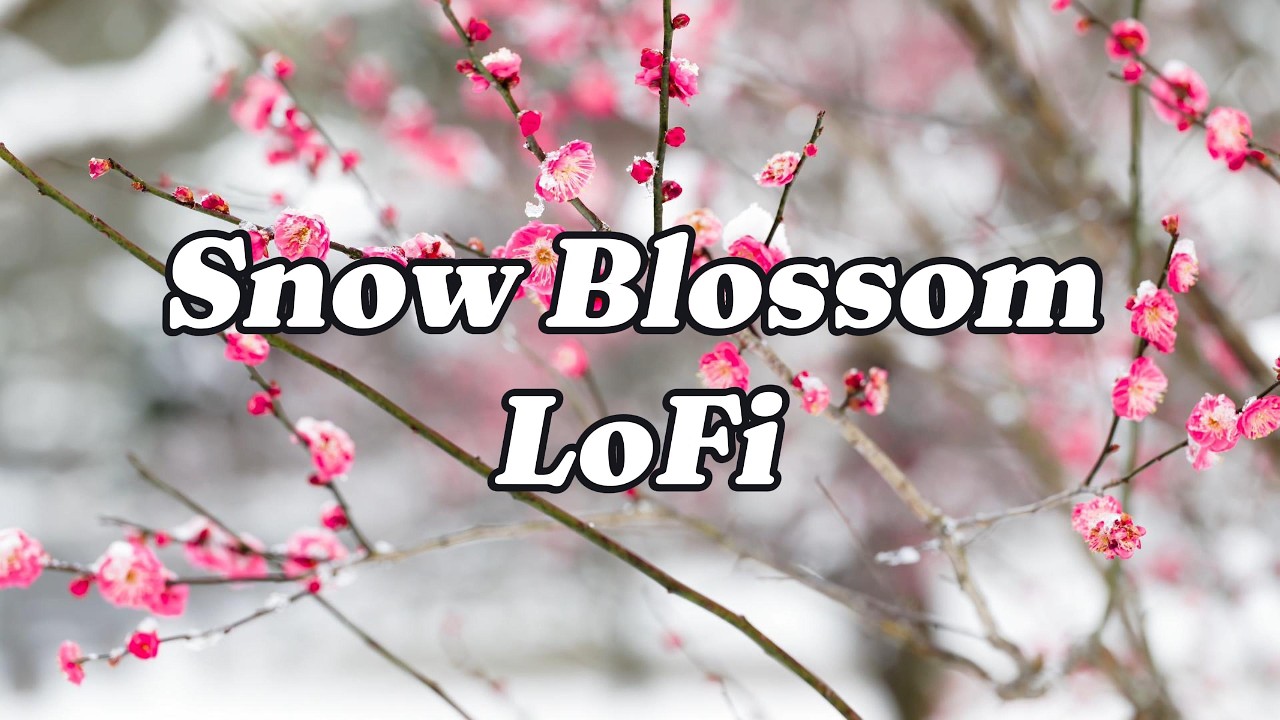 Snow Blossom LoFi 🌸❄️ Calm Study & Relaxing Winter Ambience