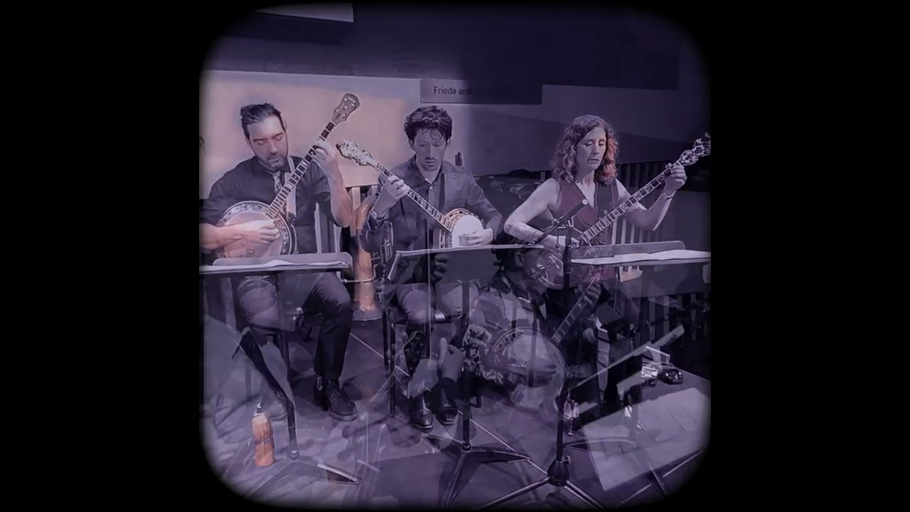 Cynthia Sayer & The Banjo Experience: 