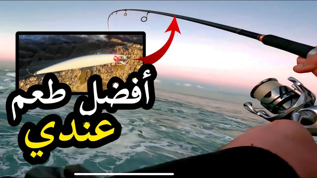 من أفضل الطُعم عندي⚡️💯🇫🇷 +ربطة قوية ديال la tresse 🔥
