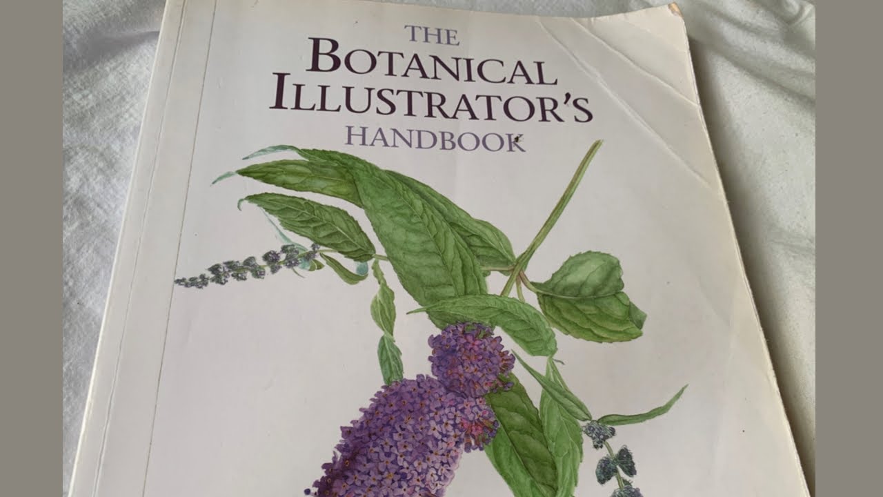The Botanical Illustrator's Handbook( Sally Pinhey )