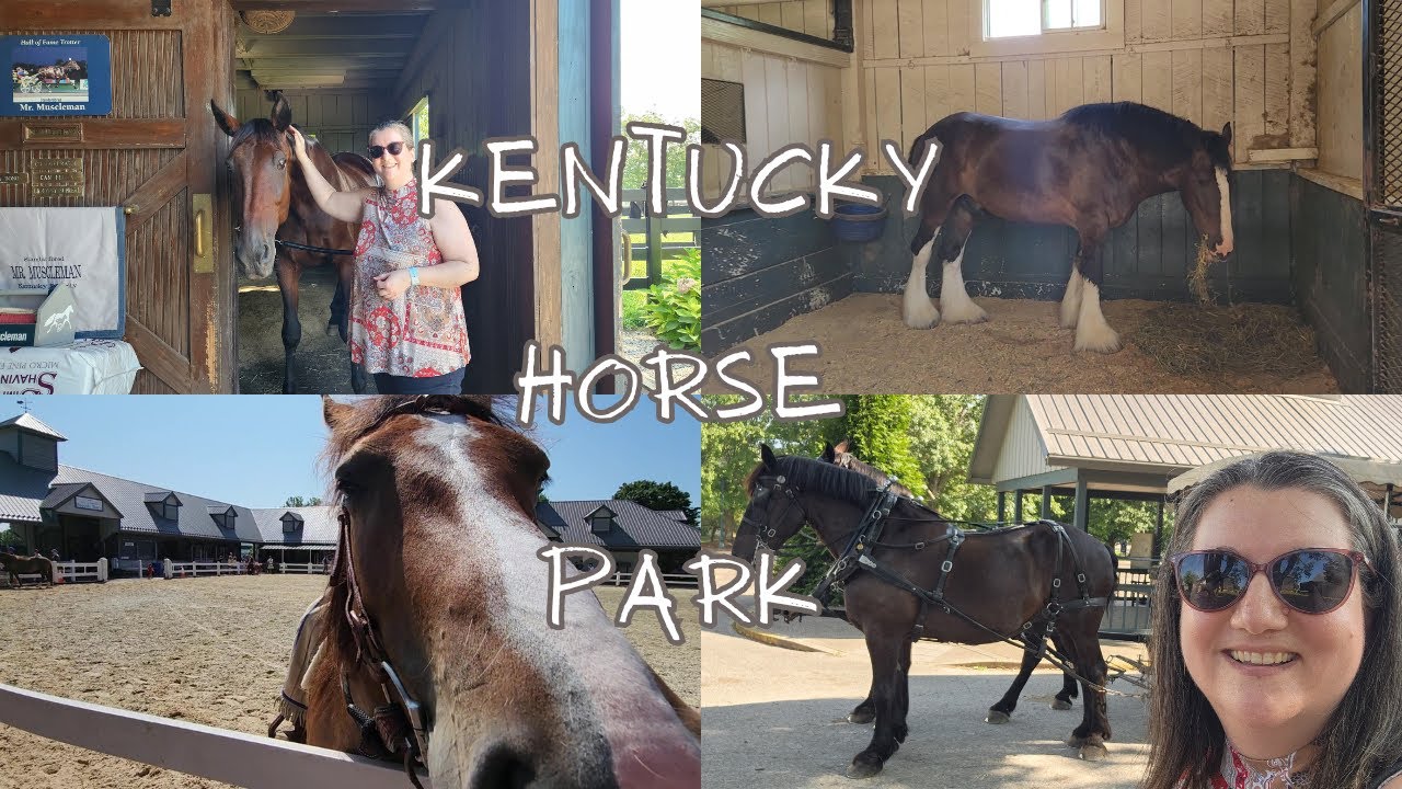 Having fun at the Kentucky Horse Park