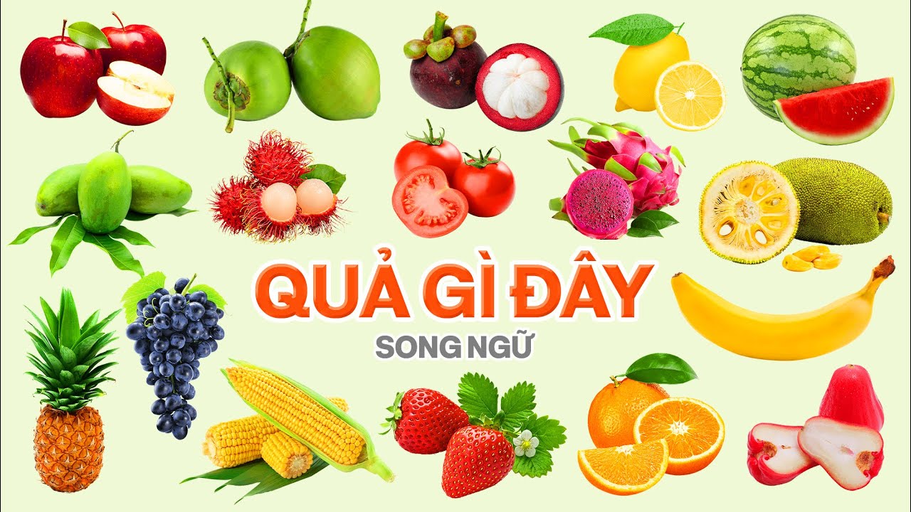 Quả Gì Đây 1, Dạy Bé Đọc Tên Quả, Có Hình Ảnh Thực Tế | Song Ngữ Anh Việt | Fruit farm, Agricultural