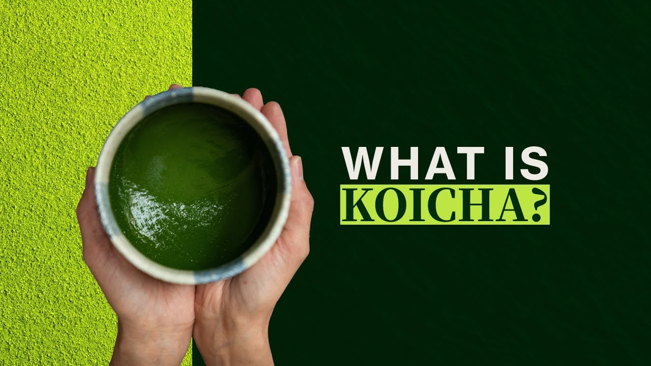 What is Koicha? All About Koicha Tea and What You Can Use it For!