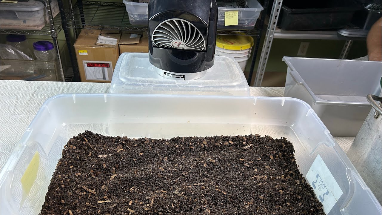 First Time Breeder Bin Cycle Results Plus Using a Fan for the First Time