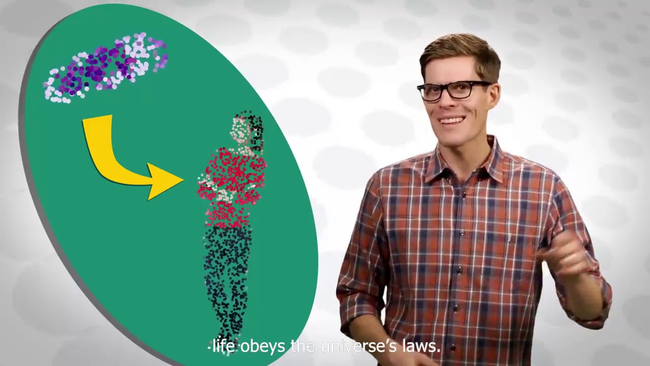 EVOLUTION IS KILLED BY THE SECOND LAW OF THERMODYNAMICS