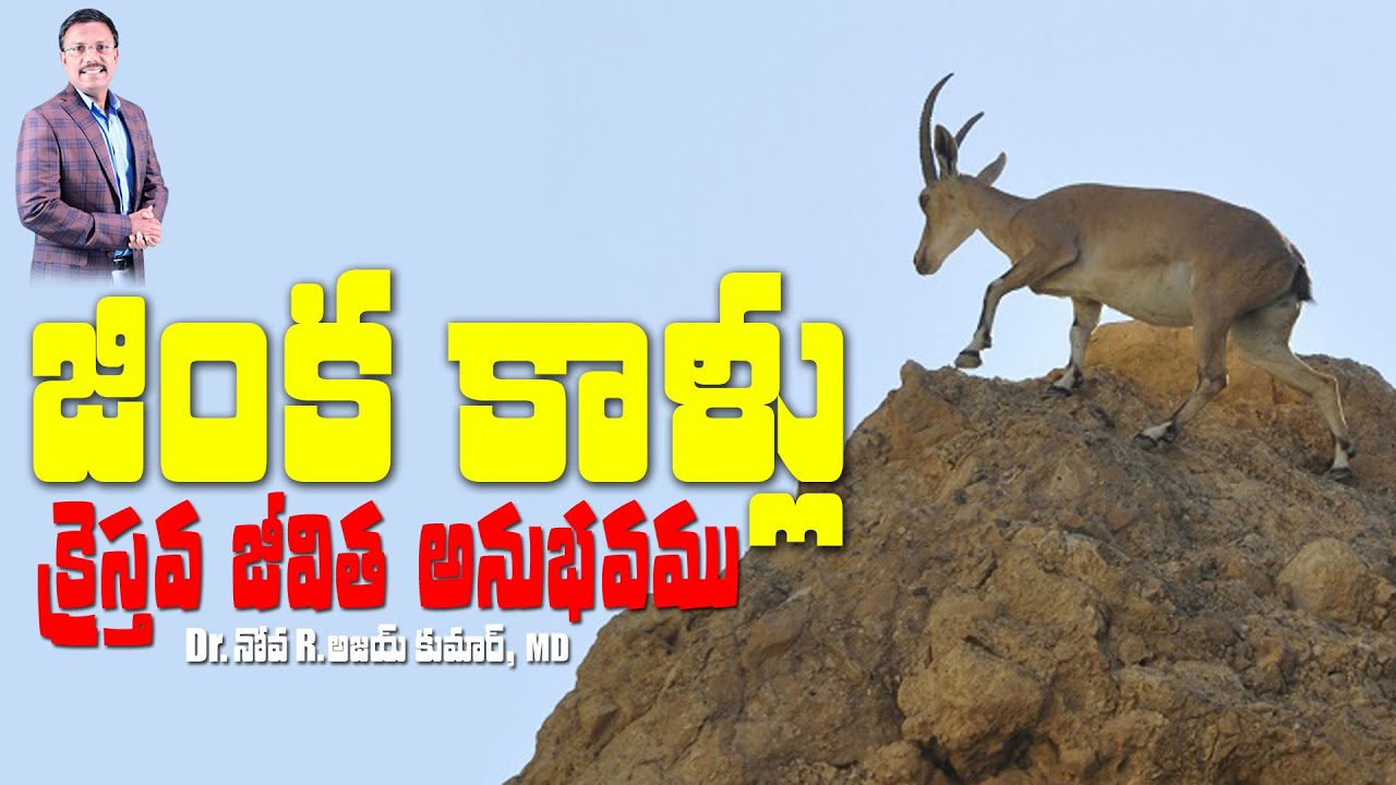 జింక కాళ్లు - Feet Like the Feet of a Deer - Dr. Noah