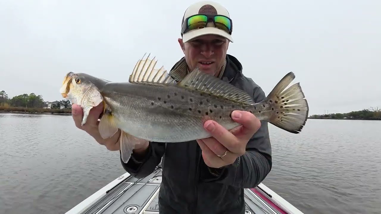 Solving the Puzzle of a Tough Trout Bite!