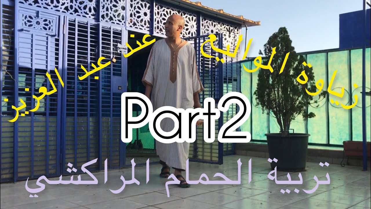 #زيارة_مولوع/حمام_الفعل/تجارب من كساب/غليه مشاو لعندهم حمامك.. اذبح فيها 35 حمامة🕊على قبل خصل 🔬