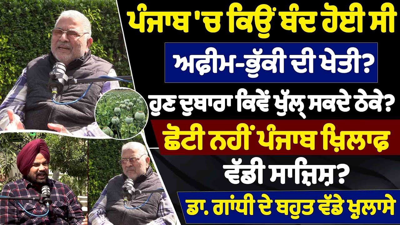 ਪੰਜਾਬ 'ਚ ਕਿਉੰ ਬੰਦ ਹੋਈ ਸੀ ਅਫ਼ੀਮ-ਭੁੱਕੀ ਦੀ ਖੇਤੀ ? ਹੁਣ ਦੁਬਾਰਾ ਕਿਵੇਂ ਖੁੱਲ੍ਹ ਸਕਦੇ ਠੇਕੇ ?