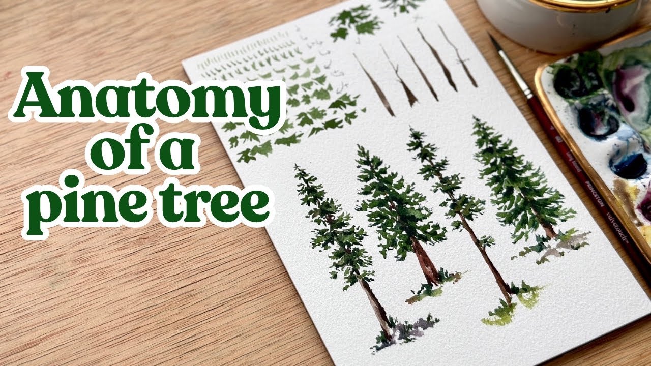 Watercolor pine trees broken down into an easy to understand painting formula