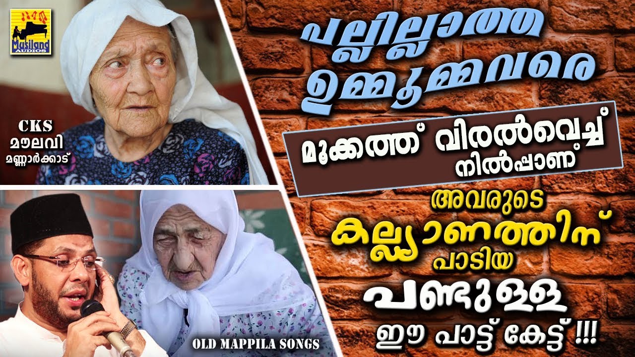 പല്ലില്ലാത്ത ഉമ്മൂമ്മമാരുടെ കല്ല്യാണത്തിന്പാടിയ പണ്ടുള്ള പാട്ടുകൾ | Cks Moulavi Mannarkkad Old Songs
