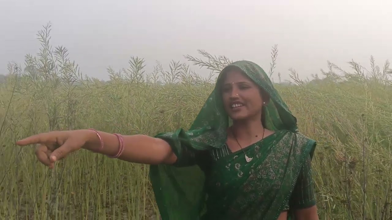 हमारे न्यू ब्लॉग में आप सबका स्वागत है तो भैया आज हम आप सबको दिखाते हैं खेतीमे क्या  लगा है