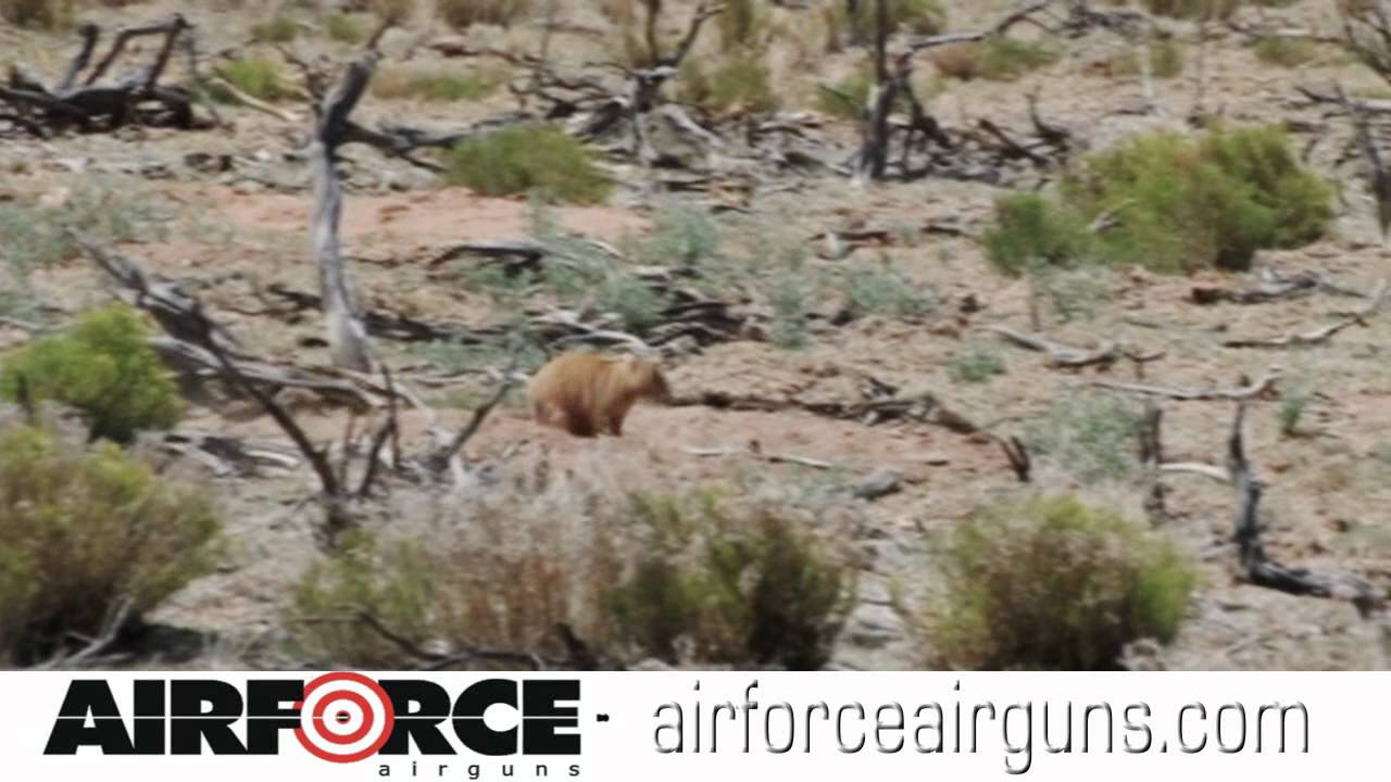 AirforceAirguns TalonP Air Pistol