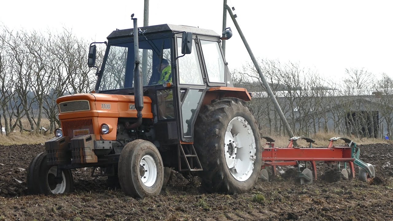 Fiat 1100 out in the field ploughing w/ 4-Furrow Kverneland Plough | Danish Agriculture