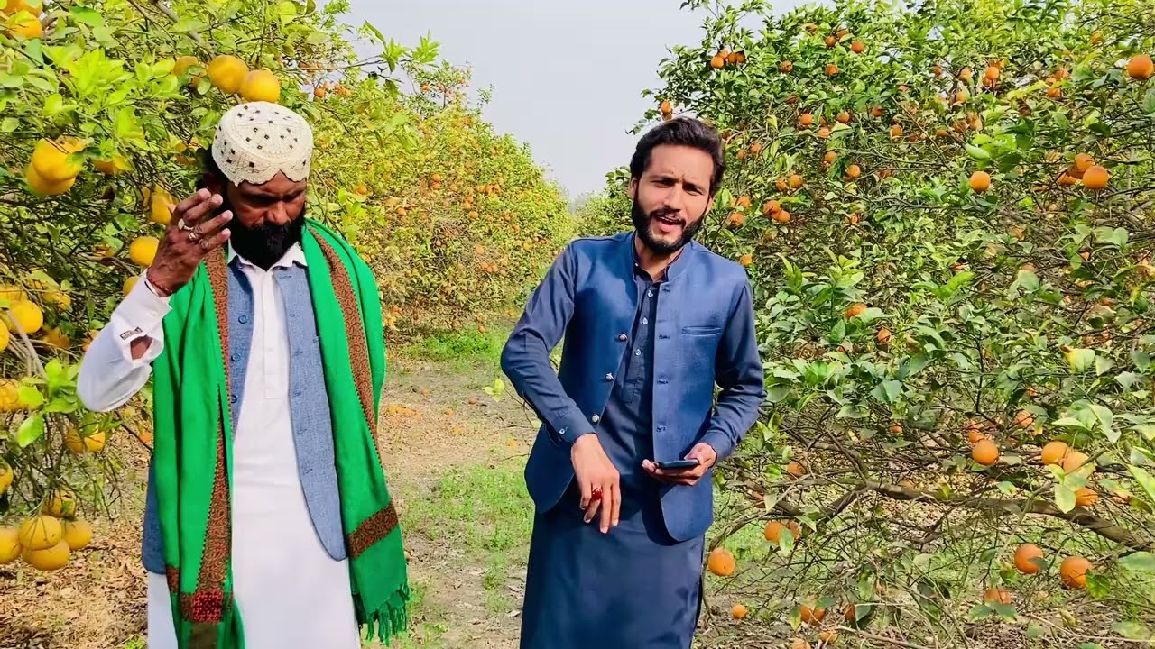 Kalaam-e-Ali (a.s) Ka Qur’an Se Mizaaj Milta Hai | Sajjadia Noha | Manqabat