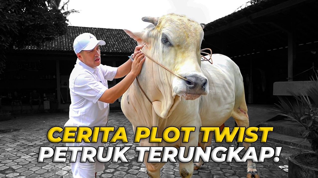 Apa yang Sebenarnya Terjadi Pada PETRUK?