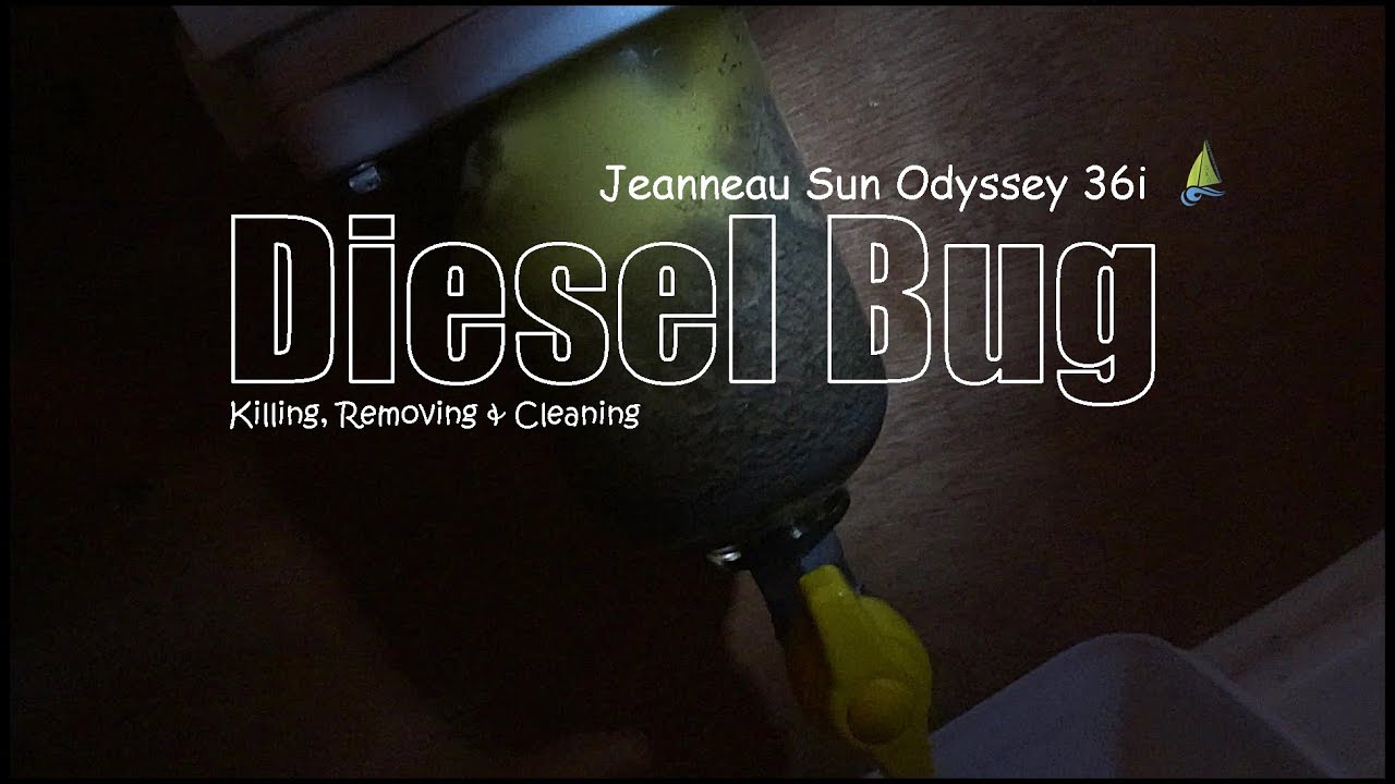 How to kill and remove Diesel Bug | Sailing Kejstral Adventures