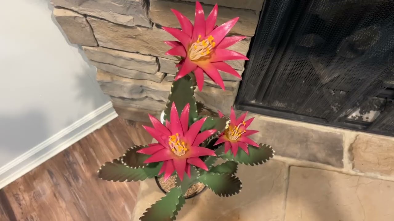 Hands-On with 33 Inch Large Artificial Cactus&mdash; Real Use, Real Results W4543