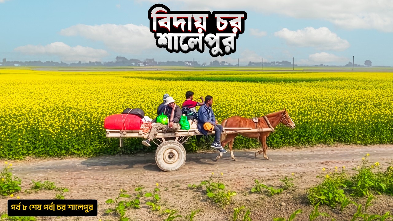 ফিরতি পথে ঘোড়ার গাড়ি | বিদায় চর শালেপুর | পর্ব ০৮ (শেষ পর্ব) | Mohsin ul Hakim