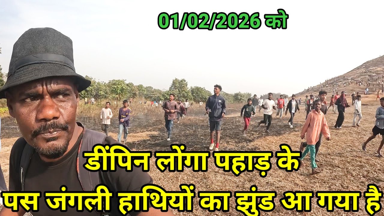 डींपिंग लोंगा पहाड़ के//पस जंगली हाथियों का झुंड आ गया है 