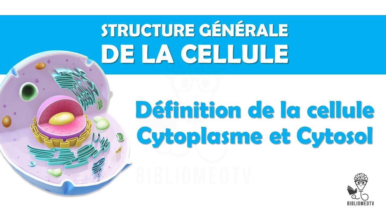 Structure Générale de la Cellule - Définition de la Cellule, Cytoplasme, Cytosol