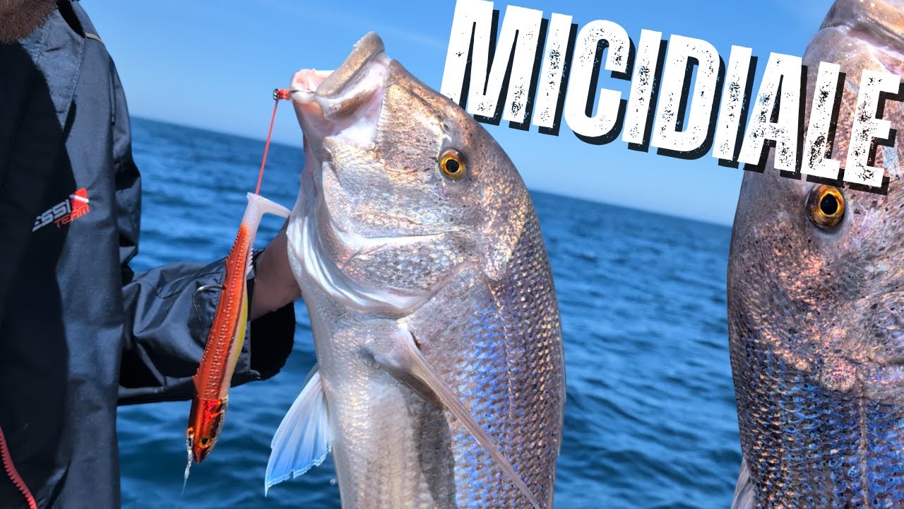 A pesca di dentici in verticale con le gomme