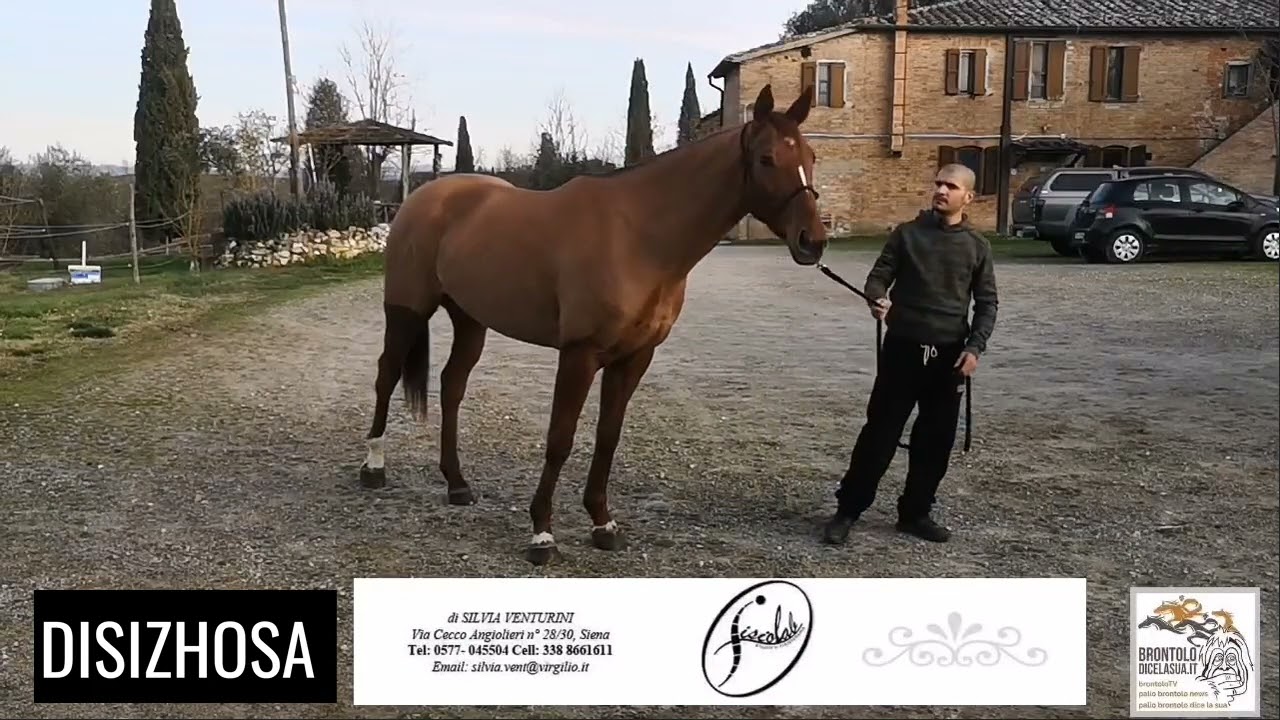 DISIZHOSA  SCUDERIA MARCO BITTI 15 FEBBRAIO 2024