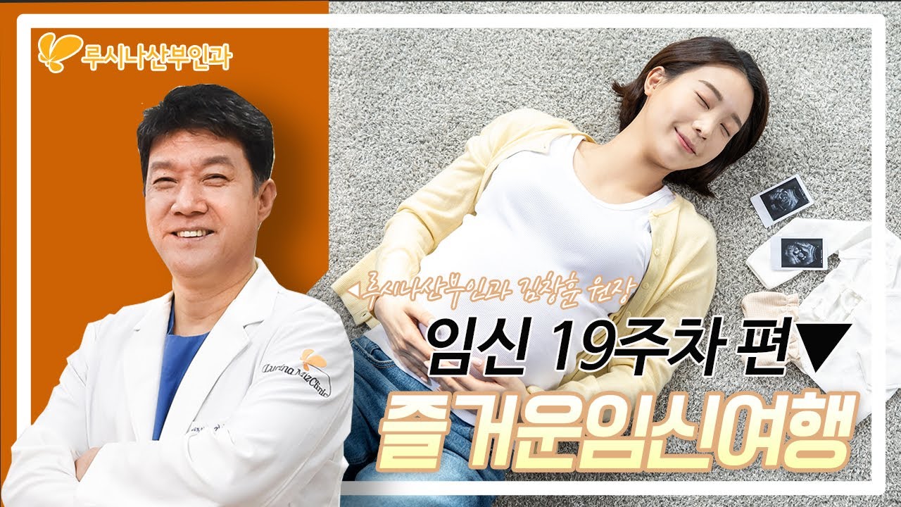 [즐거운 임신여행] 19주차편