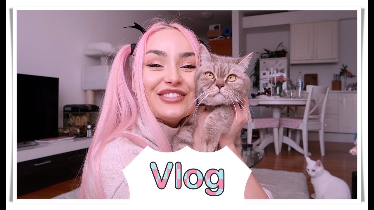VLOG | Dieta, pisici la veterinar si un peste gravid