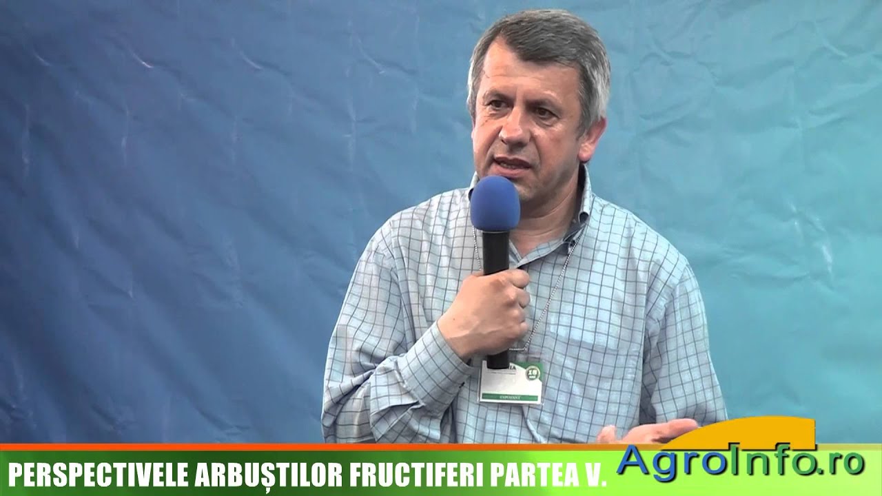 Afinul de cultura - infiintarea plantatiilor