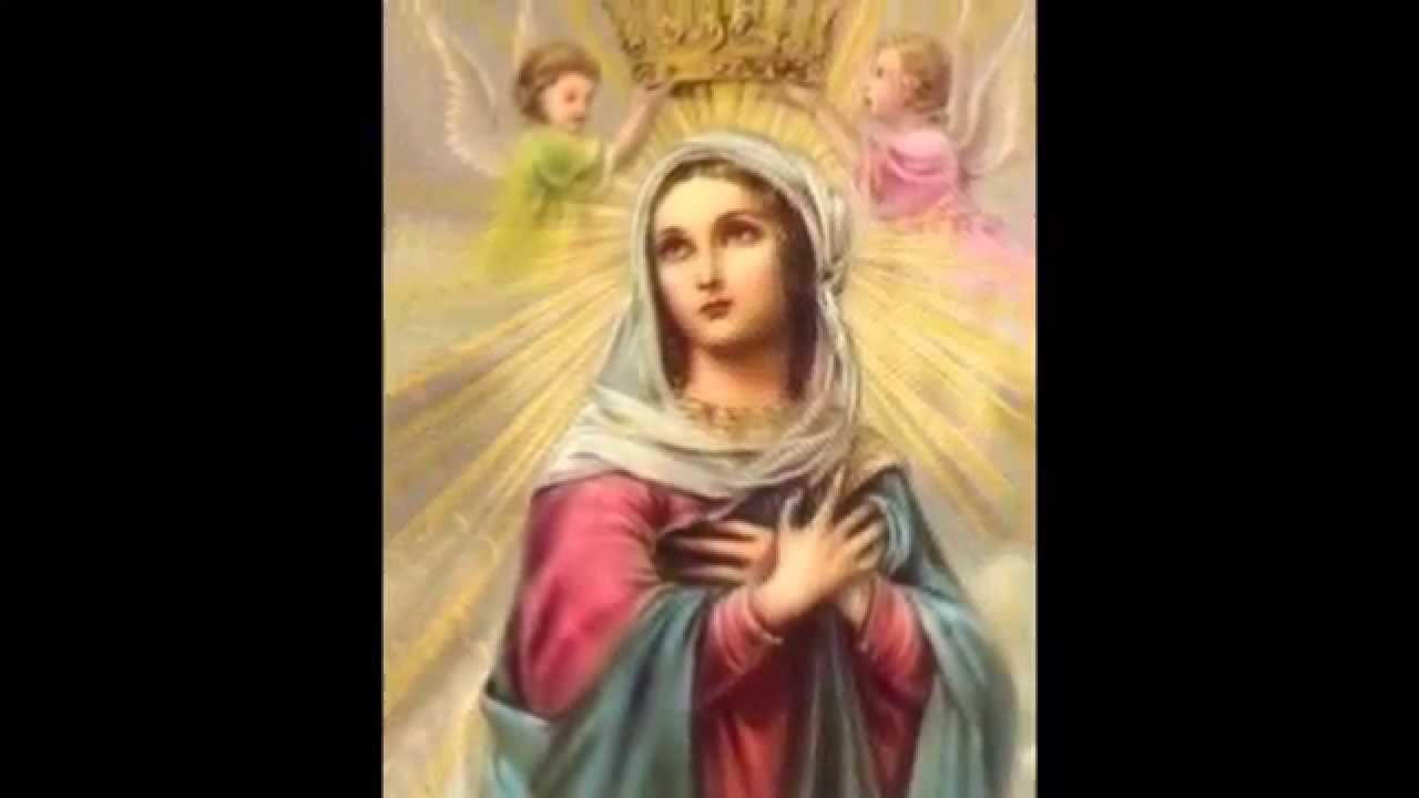 Magnifique chanson Libanaise aux martyrs Chr&eacute;tiens (sous-titres FR)