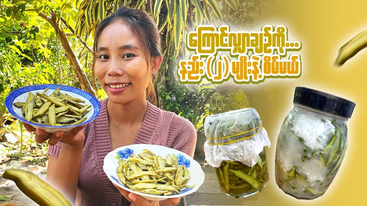 အချဉ်စိမ်နည်း(၂)မျိုး
