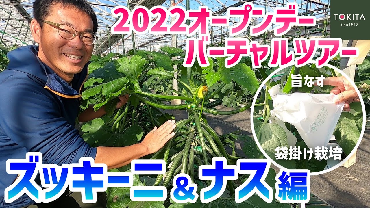 【トキタ種苗】2022年大利根研究農場オープンデー圃場案内 ズッキーニ＆とろーり旨なす編！【公式】